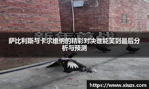萨比利斯与卡尔维纳的精彩对决谁能笑到最后分析与预测